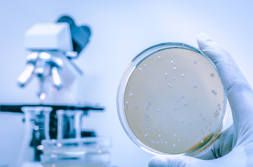 legionella bacteria in testing lab